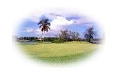 Golf Course